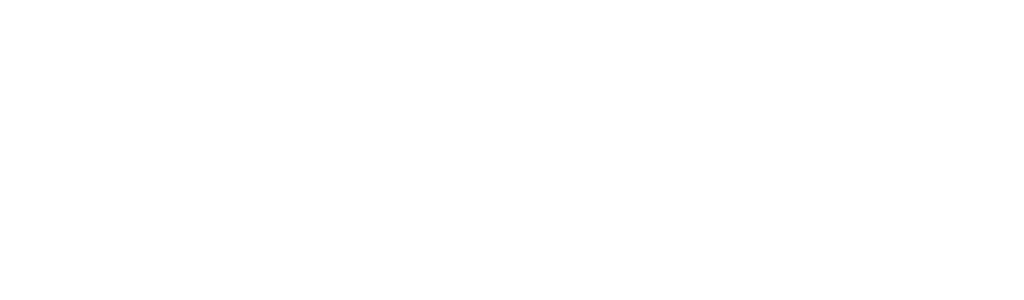 L Media Group